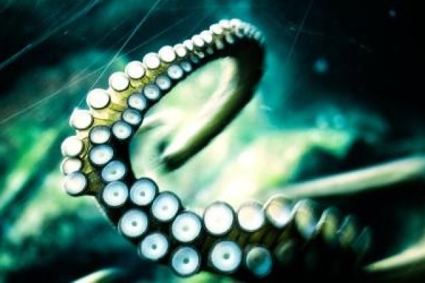Kraken darknet marketplace