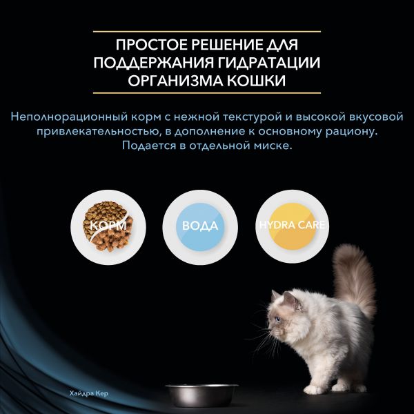 Кракен актуальная ссылка