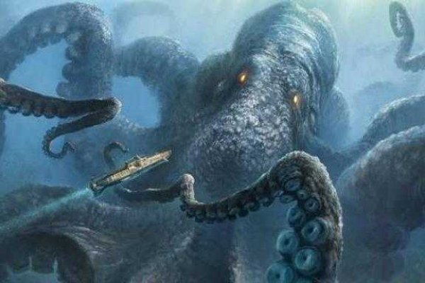 Kraken 22 аt