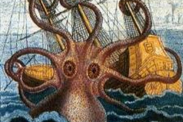 Kraken m22