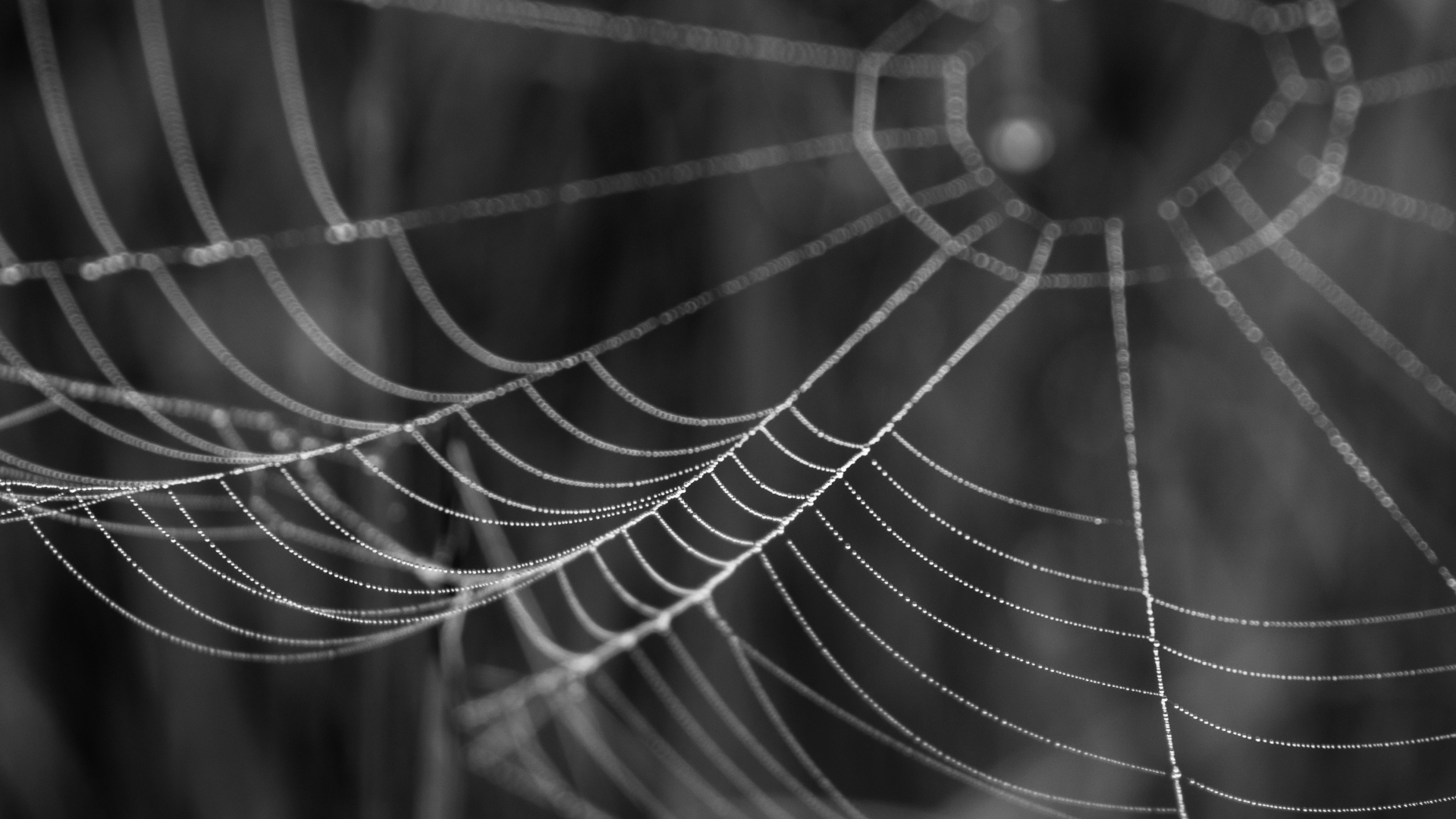Кракен маркетплейс kr2web in