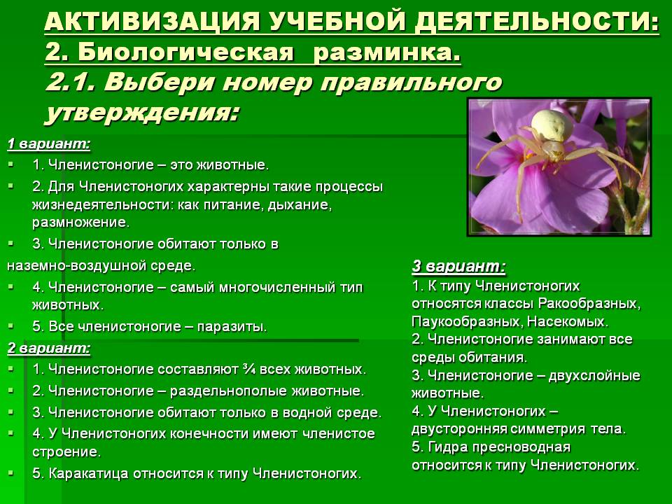 Кракен это сайт что продают